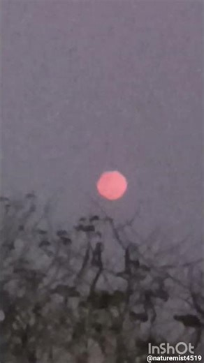 Red moon of lunar eclipse.