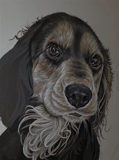 The current progress on this pretty little cocker spaniel 🤎 This little guy is part of a 3 dog painting, I think he is looking pretty cute so far! 🥰 #fyp #artist #cockerspaniel #dogs #cocker