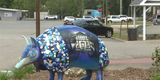 Hamburg to Host World-Famous Armadillo Festival