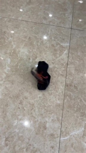 The crayfish themselves didn't even think of it. There is also such a feature