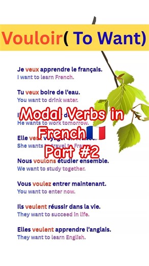 Les verbes modaux en français VOULOIR how to learn modal verbs in french french grammar for A1 - A2