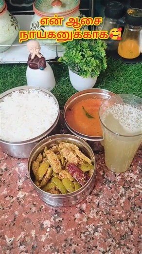 # Lunch Box Series 11