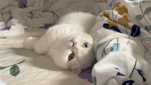 How cute 🎀 | 𝙥𝙧𝙚𝙚𝙩𝙮