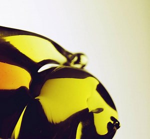 Hooray For Earth - True Loves