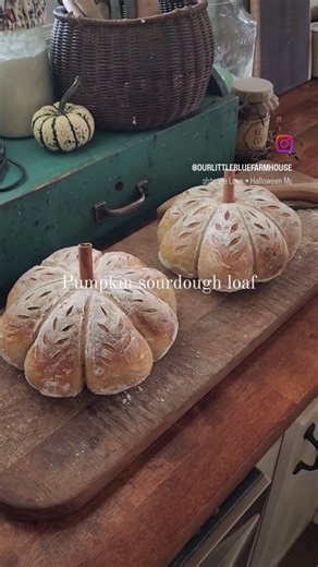 Sarah Chitwood on Instagram: "Here's a cute, pumpkin shaped sourdough loaf for the fall season that's pretty easy to make! You can use your go-to sourdough recipe or use my recipe below 😊 Artisan Sourdough Bread Ingredients: 100g active sourdough starter 25g raw organic honey 300g lukewarm water 475g all-purpose flour 10g fine sea salt 6am - discard and feed starter 1 cup flour and 3/4s cup of water. 10am - mix flour and water together in bowl and cover with moist towel for 30 mins. 1030am - ad