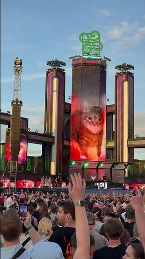 Imagine seeing your cat at a rave 😹💚 #OIIAOIIA #shorts #meme #cat #spinningcat #rave #festival