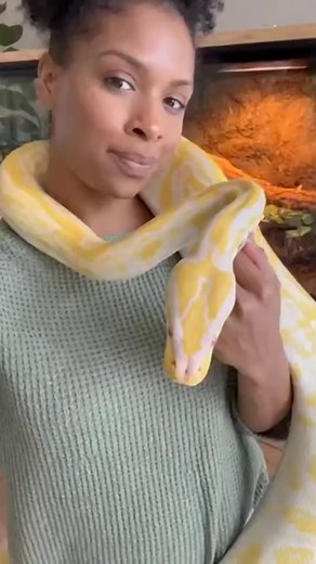 2.2K views · 12 reactions | This woman is a giant python keeper. #Giantpython #Natureand #wildlife #entertainment | Setha Ra | Facebook