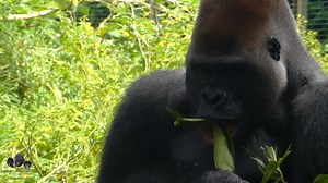 1.7K views · 130 reactions | Today is #GivingTuesdayNow - the global...