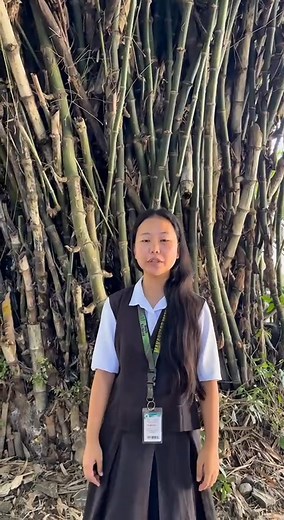 蓼 Is it magic… or science? Watch tiny grains of salt groove and bounce to the rhythm, powered by invisible sound waves! ✨ #SCIENTIAmazing ⚠️ Disclaimer: Performed under controlled conditions.  For educational purposes only. | SCIENTIAmazing | Facebook