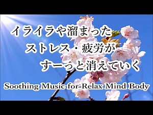 Soothing Music for Relax Mind Body : Cleanse Anxiety, Stress & Toxins - Sleep Music, Relaxing Music