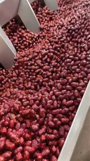 How Dates Are Packed in Factory 😳🏭