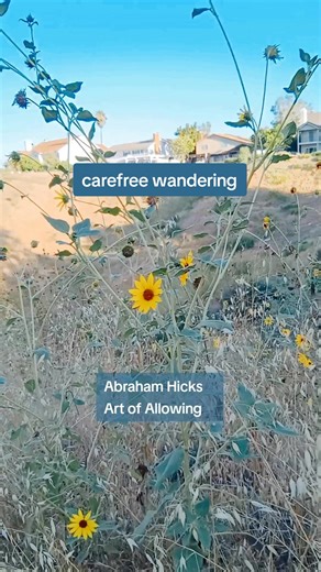 Carefree Wandering Hiking Abraham Hicks #abrahamhicks #artofallowing #abehicks #teachingsofabraham #feelgood #appreciation #carefreewandering #hiking