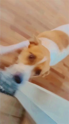e tanta loucura q até bugo meu celular🤣