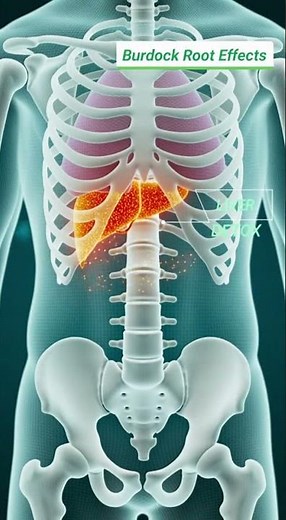 Benefits of Burdock Root | Natural Blood Cleanser & Liver Detox | 4K Educational Health Video #facts