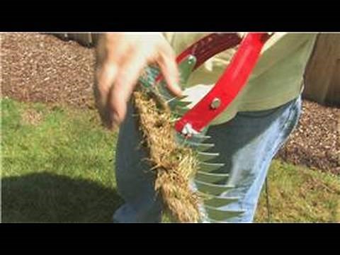Lawn Care & Landscaping : How to De-Thatch a Lawn