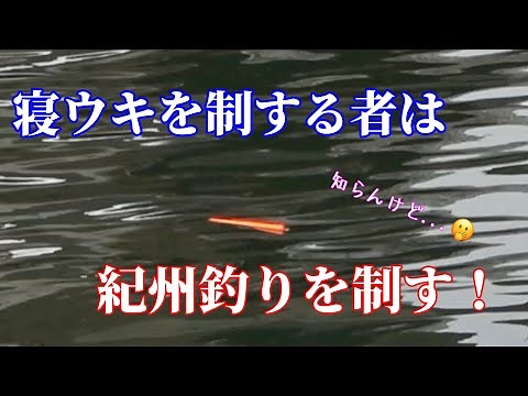 【紀州釣り】寝ウキが沈む！アタリの瞬間！【チヌ.黒鯛.ウキダンゴ】