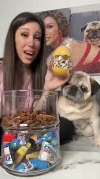 Wie findet ihr Wabis Spassglas?😍 #mops #hundemama #hund #pug #wabi