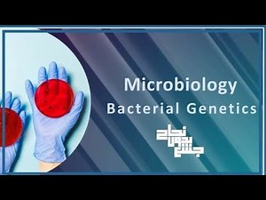Bacterial Genetics, Micro, L4 Part 1