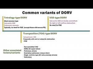 Double outlet right ventricle (DORV): Not all DORVs are the same!