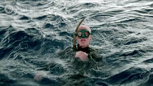 19K views · 305 reactions | Wearable cameras give scientists a rare glimpse into the lives of devil rays. | Nature | PBS | Facebook