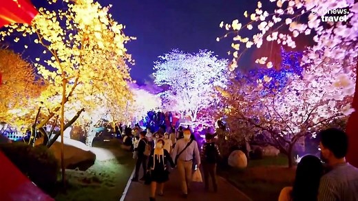 China welcomes cherry blossom season with dazzling firework display