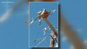 VERIFY | Can Balloons Cause Power Outages?