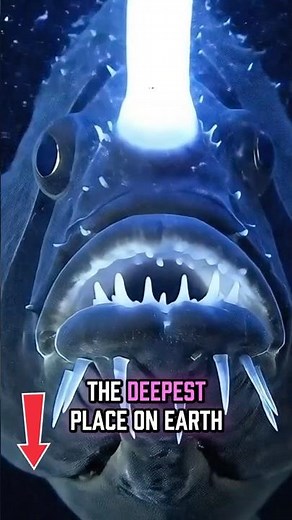 What's Really Inside the Mariana Trench? | 11,000m Deep Sea Documentary