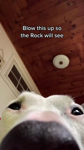 Face Off Challenge with The Rock