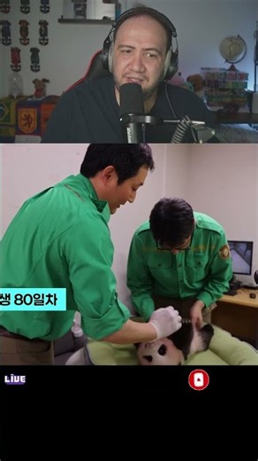 푸바오 동생, 아기 판다 슈바오 생후 100일 첫 공개! 10일→50일→90일 성장기 풀영상 공개｜풀터뷰 | TEACHER PAUL REACTS KOREA 🇰🇷