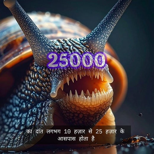 इंसान से भी ज़्यादा दांत? 😲 #Shorts #Facts