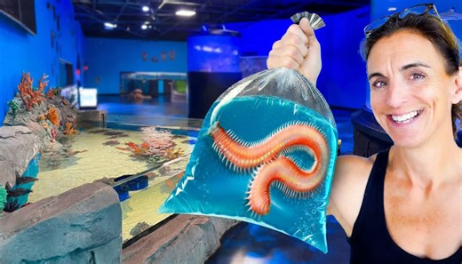 I bought some unusual species for my new aquarium build