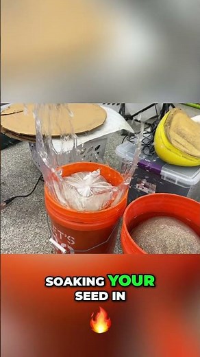 DIY Mobile Sprinkler System & Seed Germination Hack! #shorts