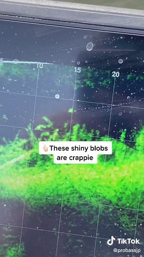 Crappie Fishing with Garmin Livescope | Tracker Boats