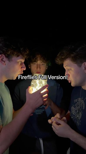 Fireflies Full Version Acapella Harmonize – Wait for It