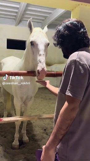 Zeeshan Rokhri's Trending Song 'Mohabbat Kar'