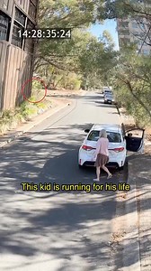 5.3M views · 8.9K reactions | Learn from this video梁 | Bearded Writer. | Facebook