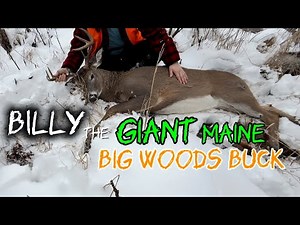 Solo Tracking A GIANT Maine Big Woods Buck - “Billy” My First Deer - 2025 Maine Rifle Season