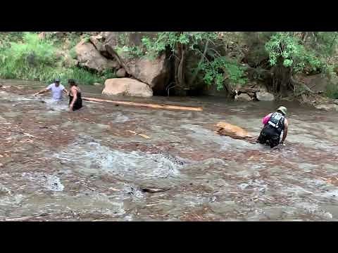 Hikers at Zion National Park Nearly Swept Away in Raging River