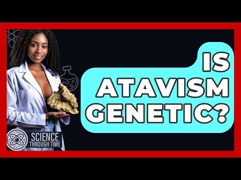 Is Atavism Genetic? - Science Through Time