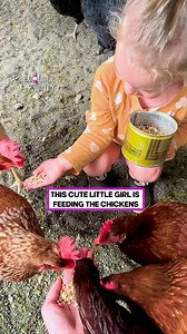 This baby happily feeds the friendly chickens! | Raechelle Chase Fit Family
