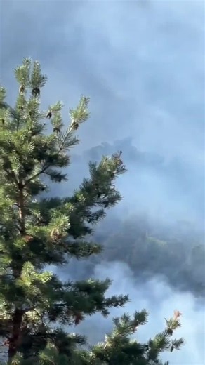 Incendie de Désaignes en Ardèche : moyens aériens et secours mobilisés