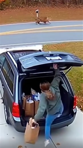 Imagine turning around and seeing this coming at you This video was created using AI. 🎬 This video was produced by Network Media and Clean Cut Studios | That's So Ai