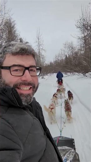 These Alaska Huskies are Built Different #huskies #alaska #incredible