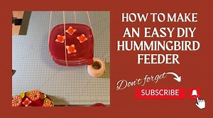 Hey friends!👋🏻👋🏻 I am super excited to share this amazing DIY project with you today! 🌸 In this video, I'm going to show you how to create a hummingbird feeder using items that you can find at your local Dollar Tree. 🌼✨ Best part, it costed me less than $1 to make! 💲💚 Hummingbirds are such enchanting creatures, and with this budget-friendly feeder, you can attract them right to your backyard. Trust me, they absolutely love it! 😍🐦 If you enjoy this type of content and want to see more f