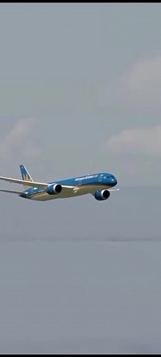 Plane alarms edit #aviation #edit #plane #planecrash | pull up