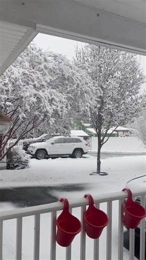 Everywhere snow and snow || #snow #rain #storm #whitenoise #viralshort #relax #