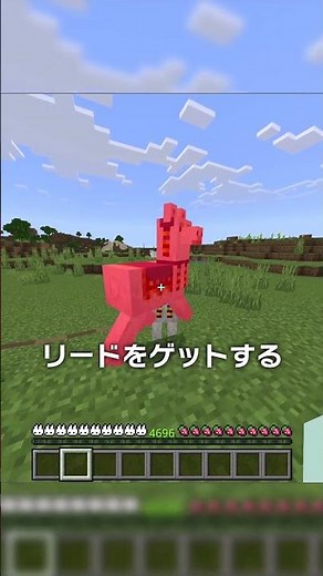 100%の人が知らない行商人の正しい使い方！【マイクラ豆知識 解説 裏技】