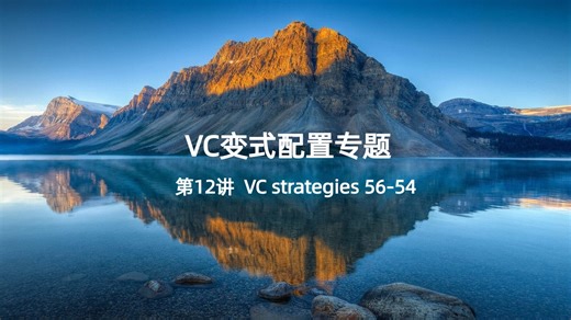 VC产品可配置之第12讲 VC strategies 56-54