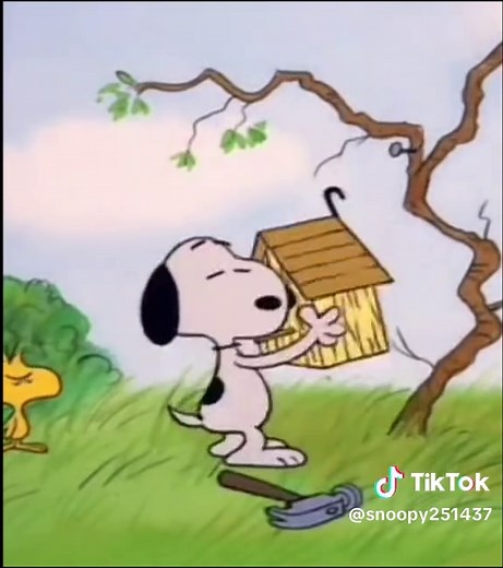 Adorable Snoopy Birdhouse | Cute Snoopy and Woodstock Moments
