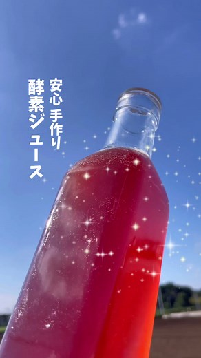 発酵•酵素ドリンク 簡単に疲労回復！作り方 基本の材料は2つだけ 果物と同じ量の砂糖を 入れるから簡単です ※米麹と塩やお酢は 入れなくても作れます 好きなフルーツでOK 映像ではプルーンを使いました ■基本の材料 果物 500g 砂糖 500g 酢 200ml前後 米麹 50g 塩 5g 💡砂糖はオリゴ糖等、何でもOK。 💡お酢はりんご酢等、何でもOK。 酢を入れると酸味がプラスされます。 疲労回復にも効果的。 ■作り方 果物と砂糖を交互に入れて、軽くフタをして(ガスが出る為)毎日1回まぜるだけ。 常温で 夏は1週間 冬は2週間 ※目安です 泡が出て、フルーツが浮いてきたら完成！ ■注意点 果物が液体に早く漬かった方が良いです。 液体から果物が出ている部分が傷む場合があります。ビニール袋に水を入れて閉じて、上に乗せて重りにするのも良いですね。 私は100均の小さなシリコンのフタを乗せています。 ■完成後 ①浮いている果物をとって ジャムにしたりお菓子作りに使います ②底に米麹が沈澱します コレは美味しくないので ザルでこして取り除きます ③液体はジュースにしたり ヨーグルトにかけ